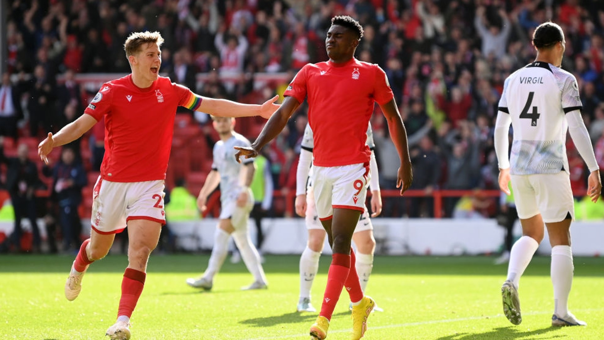 喜鹊度过了 喜鹊度过了